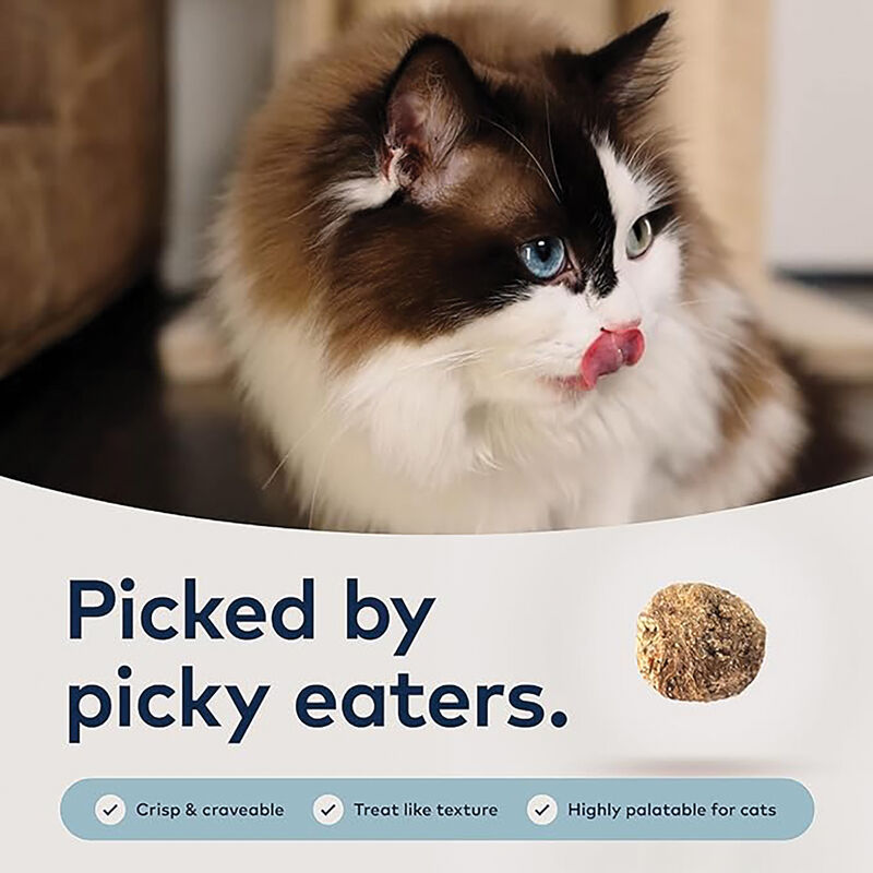 ZIWI, Peak Steam & Dried South Pacific Fish Cat Food image number null